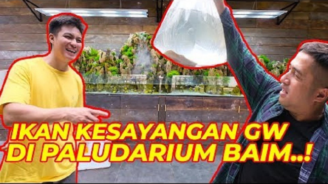 Habis Kasih Ikan ke Baim Wong, Irfan Hakim Kehilangan Ikan Mahal Seharga Ratusan Juta.