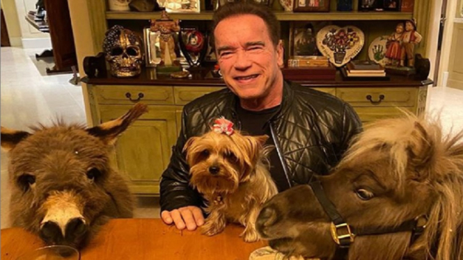 Efek Social Distancing, Arnold Schwarzenegger Main Bareng Keledai (Foto: Instagram)