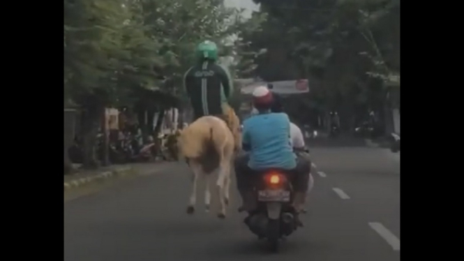 Video Viral Driver Ojol Grab Pakai Kuda di Depan Kampus UMS Solo (Foto Tangkap Layar Video Instagram)