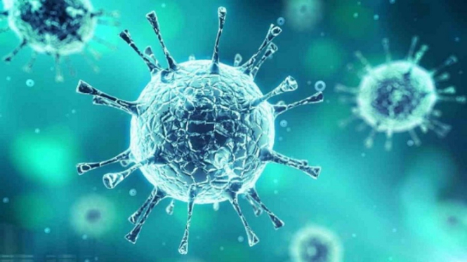 Pandemi Corona di Indonesia Diprediksi Akan Berakhir 3-6 Juni 2020 (Foto Ilustrasi Sel Virus Corona)