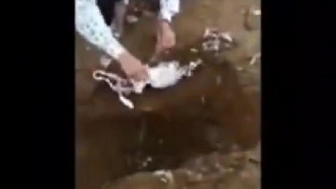 Heboh Warga Temukan Daleman Wanita Terkubur di Area Pemakaman (Foto Tangkap Layar Video Instagram)