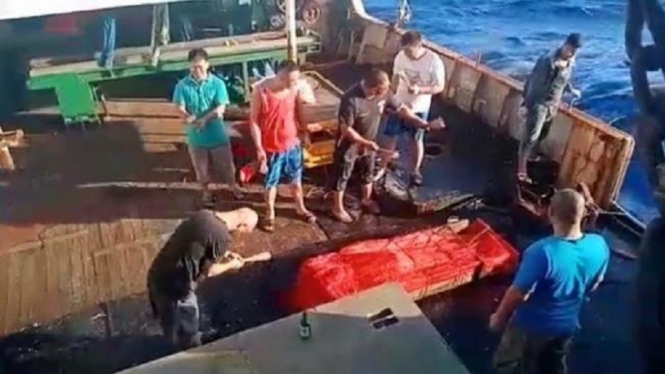 Polisi Temukan Dugaan Tindak Pindana Perdagangan Orang Terkait 18 ABK WNI di Kapal China (Foto Tangkap Layar Video Instagram)