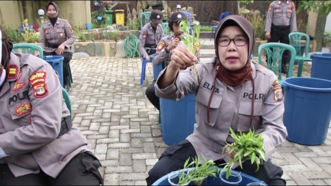 Manfaatkan Waktu, Polisi Ini Budidaya Ikan dan Sayuran dalam Ember