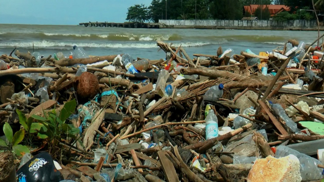 Gunungan Sampah dan Kayu serta Bau Busuk Cermari Pantai Meulaboh