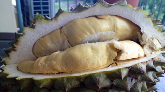 durian abc