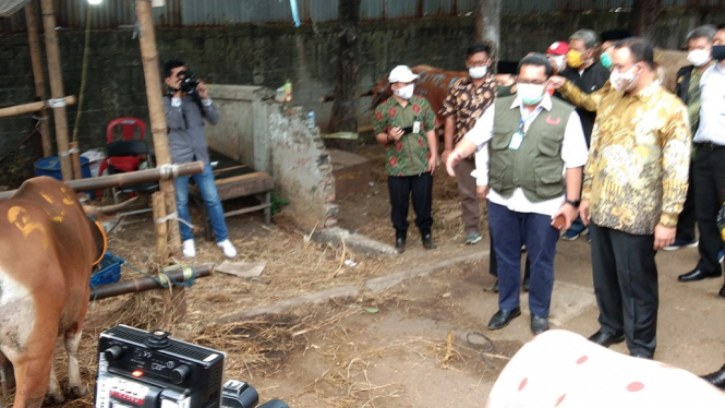 Pemprov DKI Jakarta Serahkan 32 Hewan Kurban ke RPH Dharma Jaya untuk Warga (Foto ANTV-Dendy)