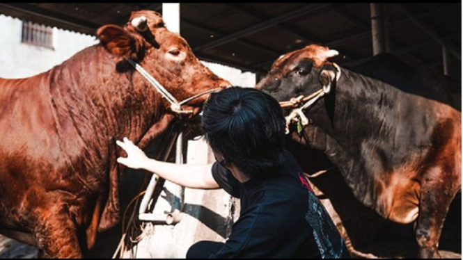 Atta Halilintar dan sapi hewan kurbannya. (Foto Instagram @attahalilintal)