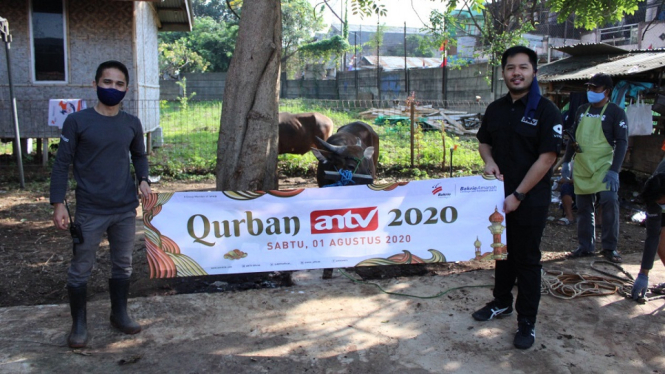 Tebar Kebaikan, ANTV Salurkan Hewan Kurban Melalui Yayasan Bakrie Amanah