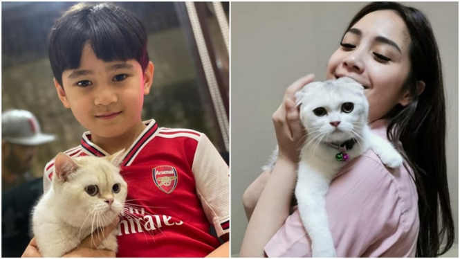 Baru Datang dari Luar Negeri, Kucing Nagita Slavina Sudah Punya Puluhan Ribu Followers di Instagram (Foto: Instagram)