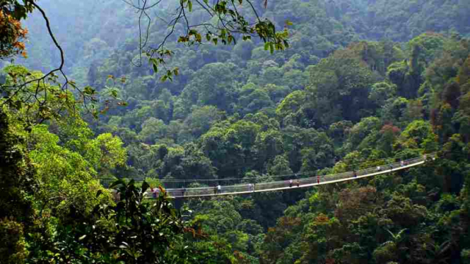 situ gunung