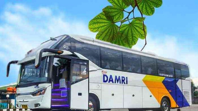 Pernyataan DAMRI Atas Kecelakaan Bus DAMRI di Serang Banten