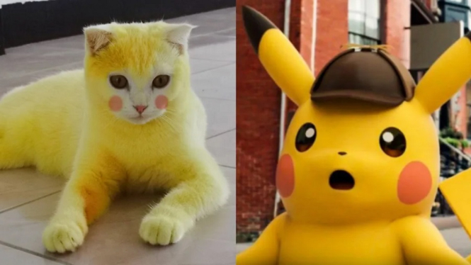 pikachu 1