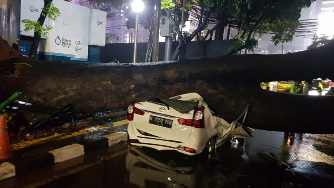 Dampak Hujan Deras, Mobil Minibus Tertimpa Pohon di Menteng (Foto Twitter)