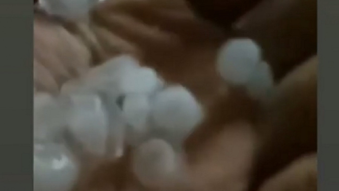 Heboh Video Angin Kencang dan Hujan Es di Bogor, Sebesar Ini Butirannya (Foto Tangkap Layar Video Instagram)