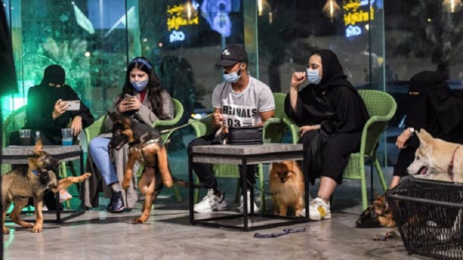 Arab Saudi Ijinkan Warganya Ngafe Bareng Anjing Peliharaan