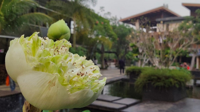 KISAH - Saat Jakarta Melarang, Tangerang Pesta Pora