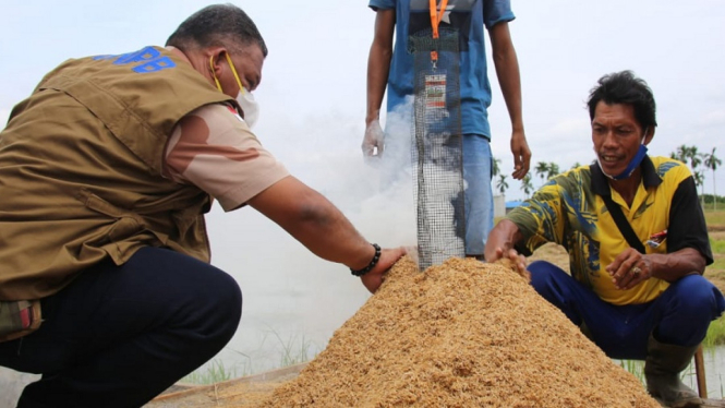 Begini Cara BNPB Kurangi Kebakaran Hutan dan Lahan di Jambi