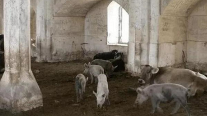 Inilah Penampakan Masjid di Azerbaijan yang Berubah Menjadi Kandang Babi (Foto Dok. Istimewa)
