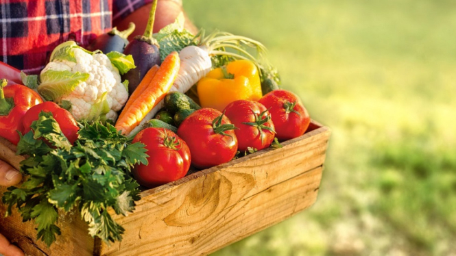 Ini 5 Kelebihan Makanan Organik yang Wajib Anda Ketahui