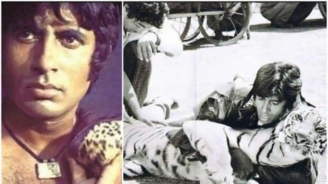Amitabh Bachchan Mengenang Momen Saat Berkelahi dengan Harimau, Ini Katanya (Foto Kolase Instagram)