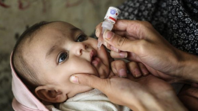 imunisasi polio lewat oral unicef