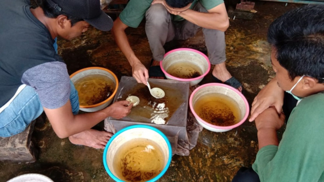 Indonesia CARE Ajak Korban PHK Terdampak Covid-19 Jadi Enterpreuner Ikan Hias (Foto Istimewa)