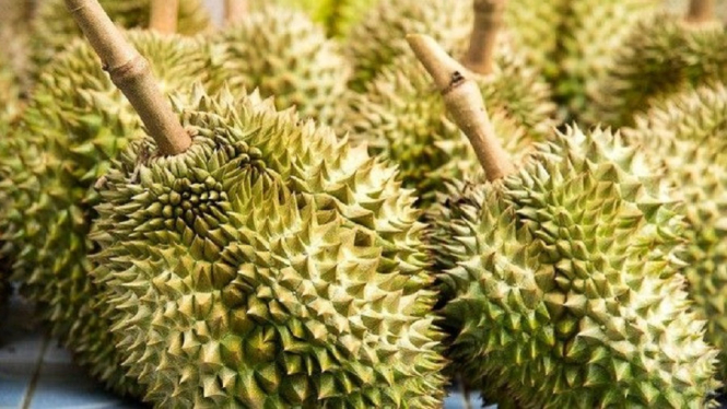 Sederet Manfaat Durian untuk Kesehatan yang Jarang Diketahui