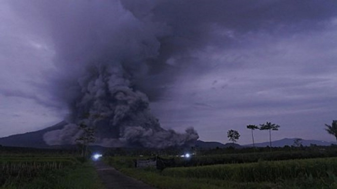 Gunung Semeru Meletus, 550 Warga Mengungsi ke Tempat yang Aman (Foto Tirto)