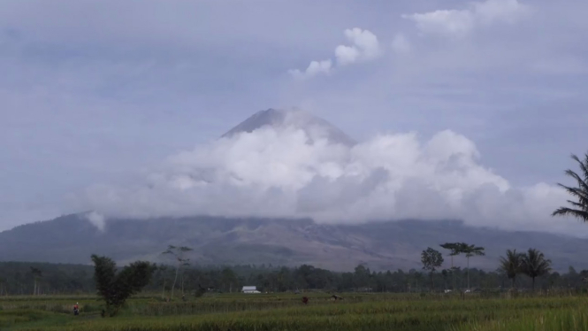 masa tanggap daurat Semeru diperpanjang