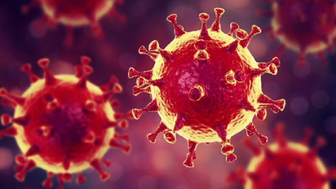 Varian Baru Virus Corona Diidentifikasi Afrika Selatan sebagai Gelombang Kedua (Foto Ilustrasi Virus Corona - Shutter Stock)