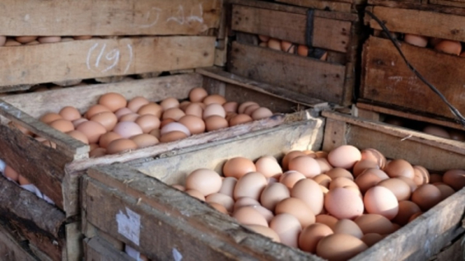 Ini 15 Pasar di DKI Jakarta yang Jual Telur Ayam Murah