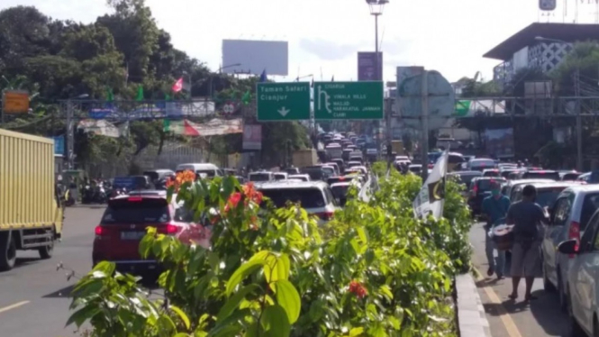 Arus lalu lintas ke Puncak, Bogor, mulai padat di hari pertama libur panjang. (Foto Viva).