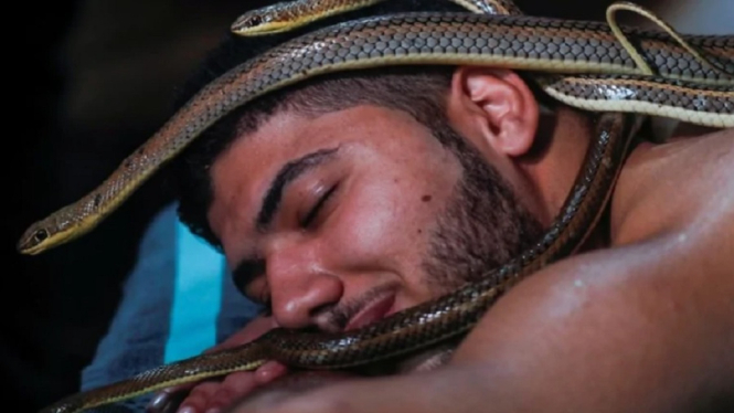 spa ular di kairo mesir reuters