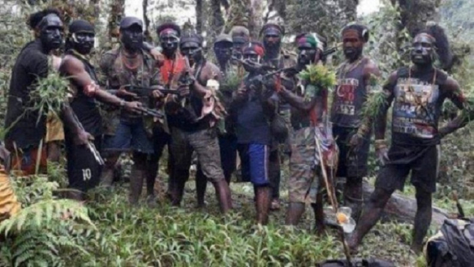 Papua Membara, Kelompok Kriminal Bersenjata Bakar Pesawat MAF di Intan Jaya (Foto Dok. TNI)
