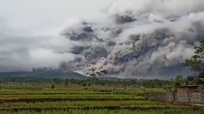 BNPB: Awan Panas Guguran Gunung Semeru Sejauh 4,5 Km