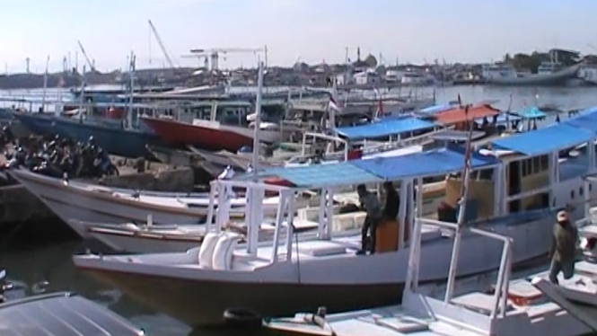 Kementerian KP Perbolehkan Kembali Kapal Cantrang Beroperasi