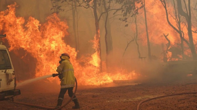 Kebakaran Hutan Landa Australia di Tengah Lockdown Total