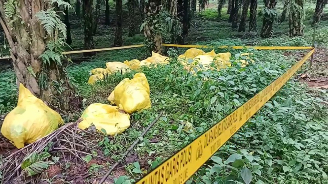 Polisi Tahan 2 Orang Pembuang 17 Karung Sampah APD di Bogor