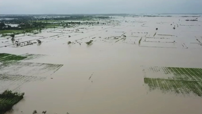 Banjir Masih Rendam Ribuan Hektare Sawah di Karawang Jabar