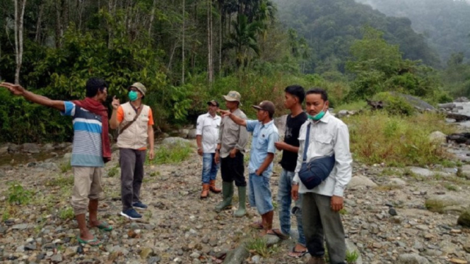 Warga Panik, Ada Dua Ekor Harimau Melintas di Perkampungan Mereka (Foto BKSDA Sumatera Barat)