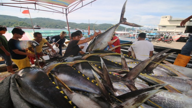 Jaga Pasar Global, Menteri KP: Pertahankan Kualitas Ikan Tuna