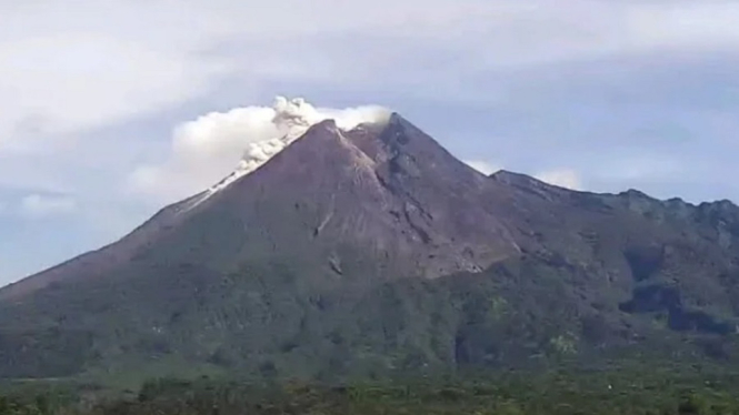 Gunung Merapi Erupsi Lagi, Luncurkan Awan Panas Guguran Sejauh 1,5 Km.