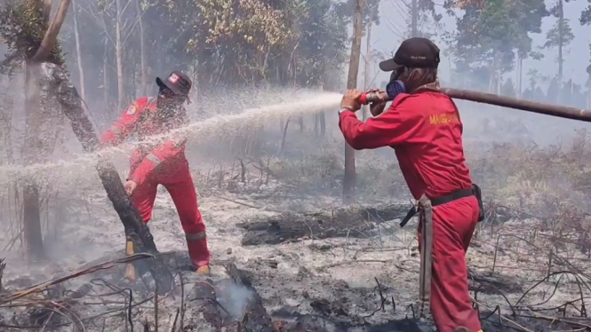 Kebakaran lahan gambut-Riau