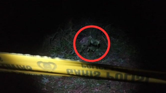 Geger Penemuan Mayat dalam Karung di Bawah Pohon Rindang, Korban Pembunuhan? (Foto fajar.co.id)