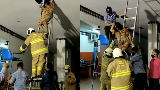 Video Drama Evakuasi Wanita Cantik Penyandang OGDJ yang Tidur di Plafon GOR (Foto Tangkap Layar Instagram)