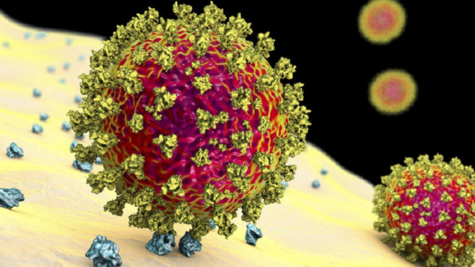 Temuan Mutasi Baru Virus Corona di Jepang, Namanya Varian Eek