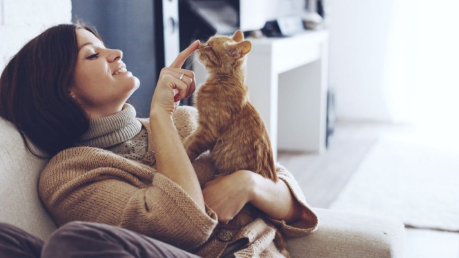 Anda Perlu Tahu! Mengelus Kucing Bisa Menghilangkan Stres
