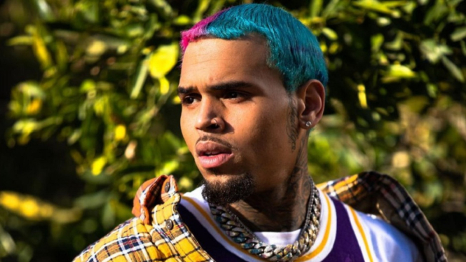 Dihadiri 500 Orang, Pesta Ulang Tahun Chris Brown Dibubarkan Polisi (Foto: Instagram)