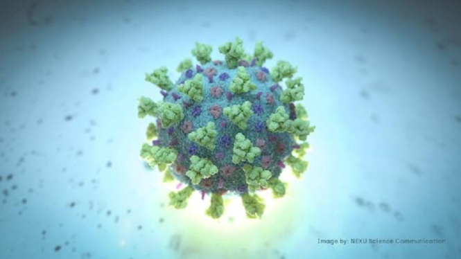 Ahli Ungkap Virus Corona Telah Mengalami Lebih dari 6.600 Kali Mutasi Spike Protein