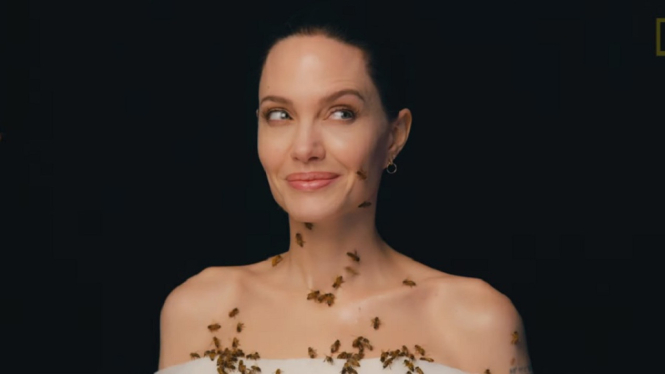 Angelina Jolie Ungkap Pengalaman Pemotretan Bersama Kawanan Lebah (Foto: YouTube/National Geographic)